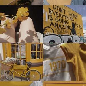 Meet your Posher, Celina